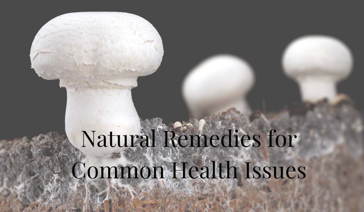 Natural Remedies for Common Health Issues